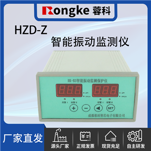 HZD-Z/RK振动检测表